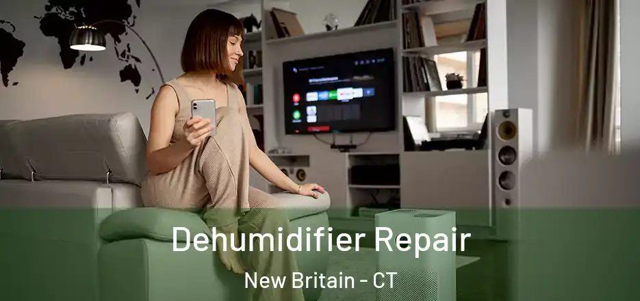 Dehumidifier Repair New Britain - CT