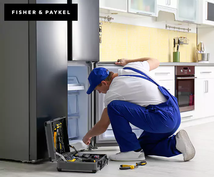 Top-Rated Fisher & Paykel Appliance Experts: Your Brand Specialist in New Britain, CT